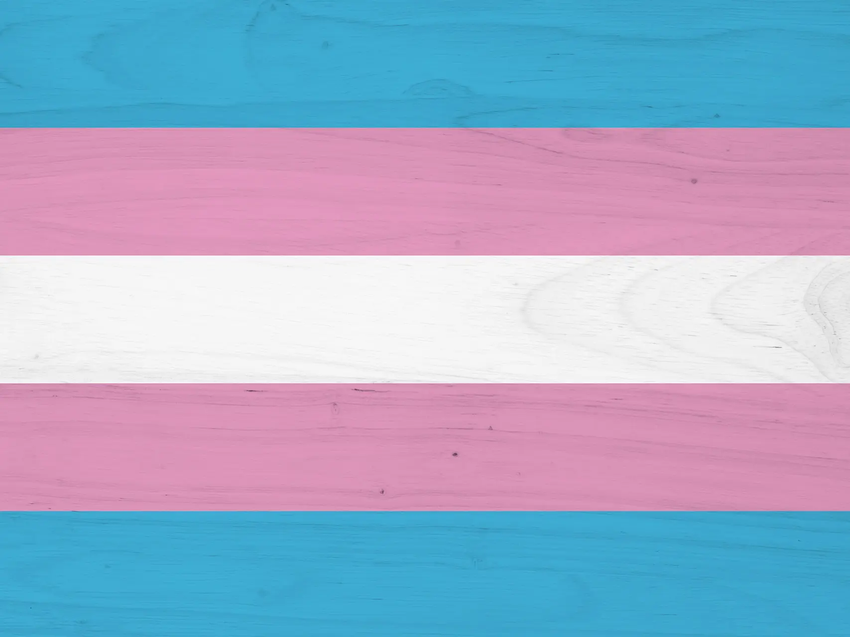 flag - trans inclusion